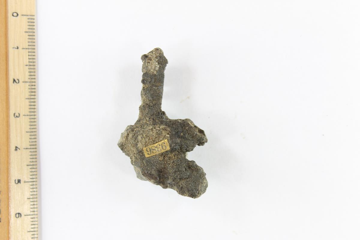 Gürtelschnallenfragment