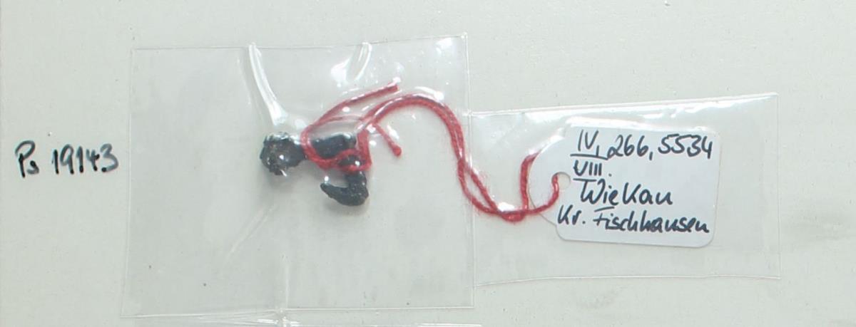Schildbuckel