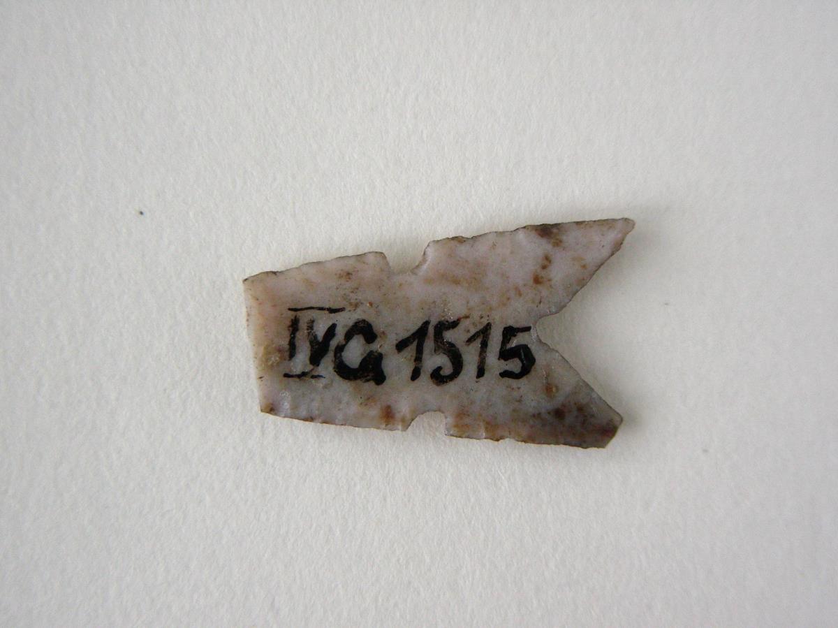 IV Ca 1515