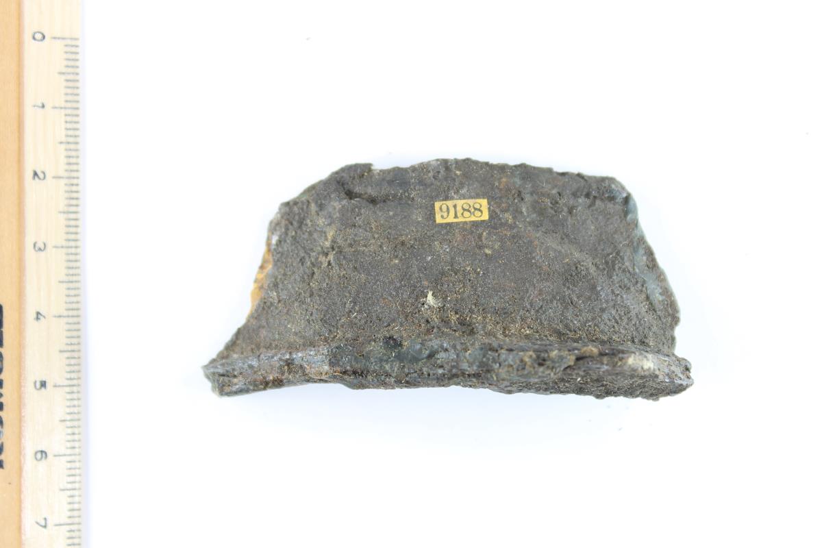Schildbuckel