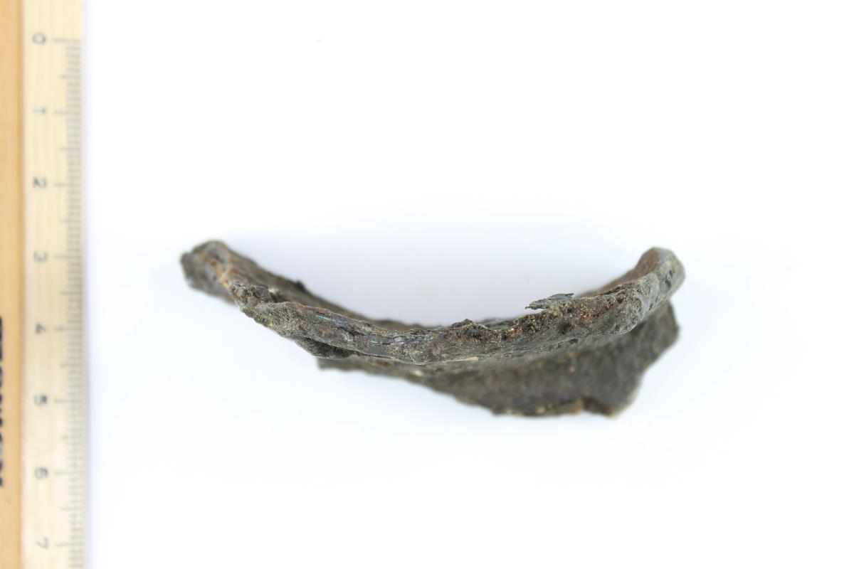 Schildbuckel