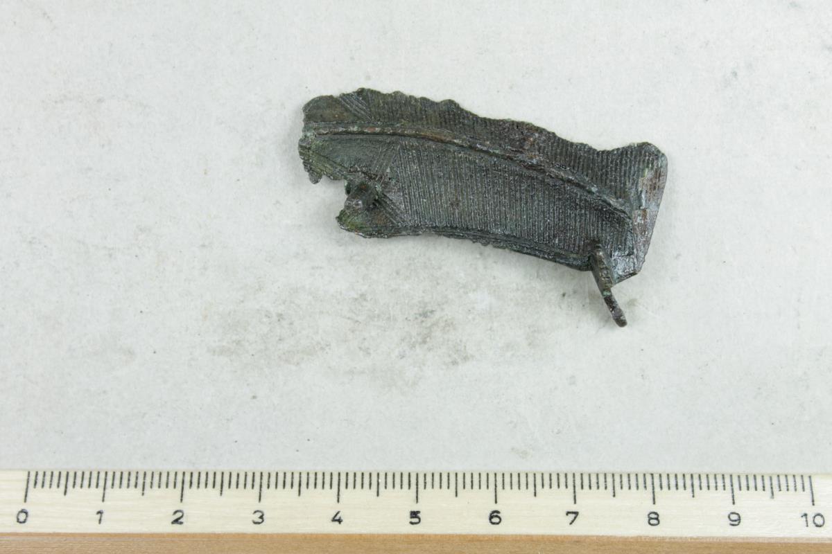 Fibelfragment
