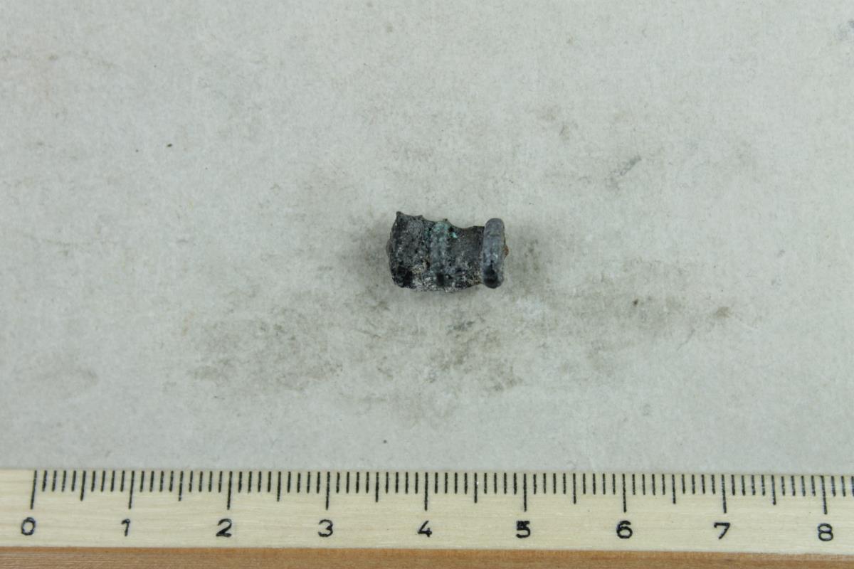 Fibelfragment