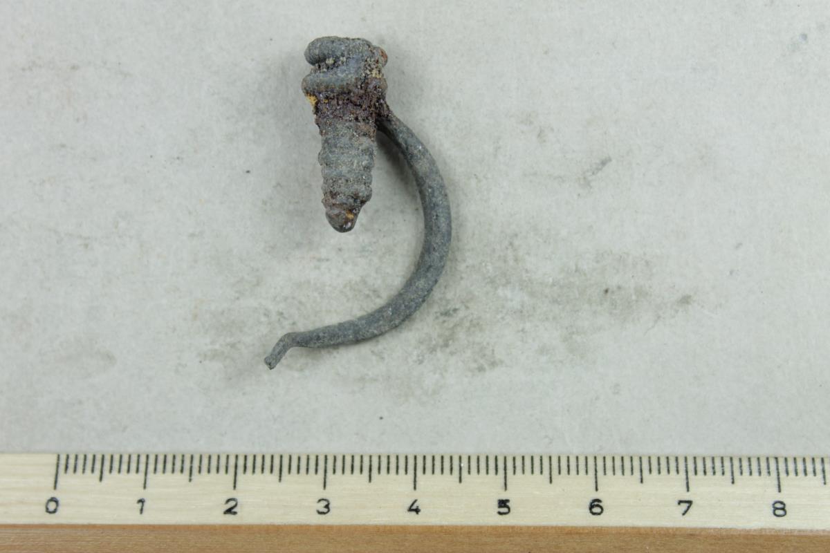 Fibelfragment