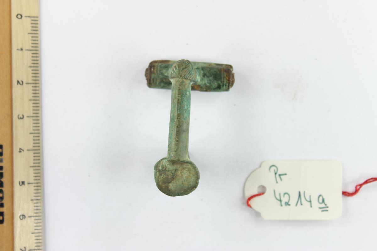 Kniefibel