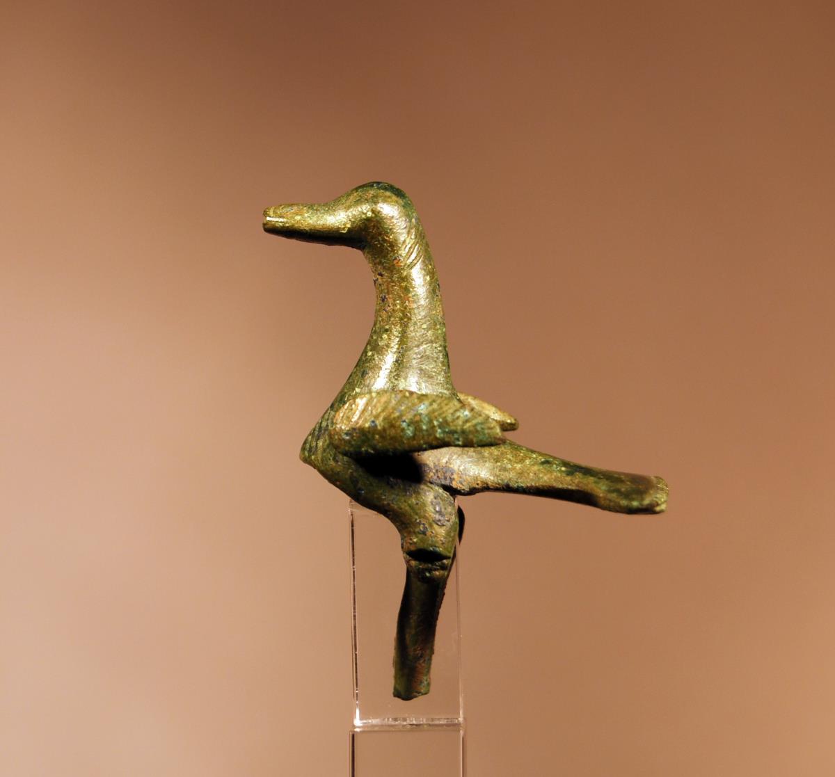 (Wasser)vogel oder Gans