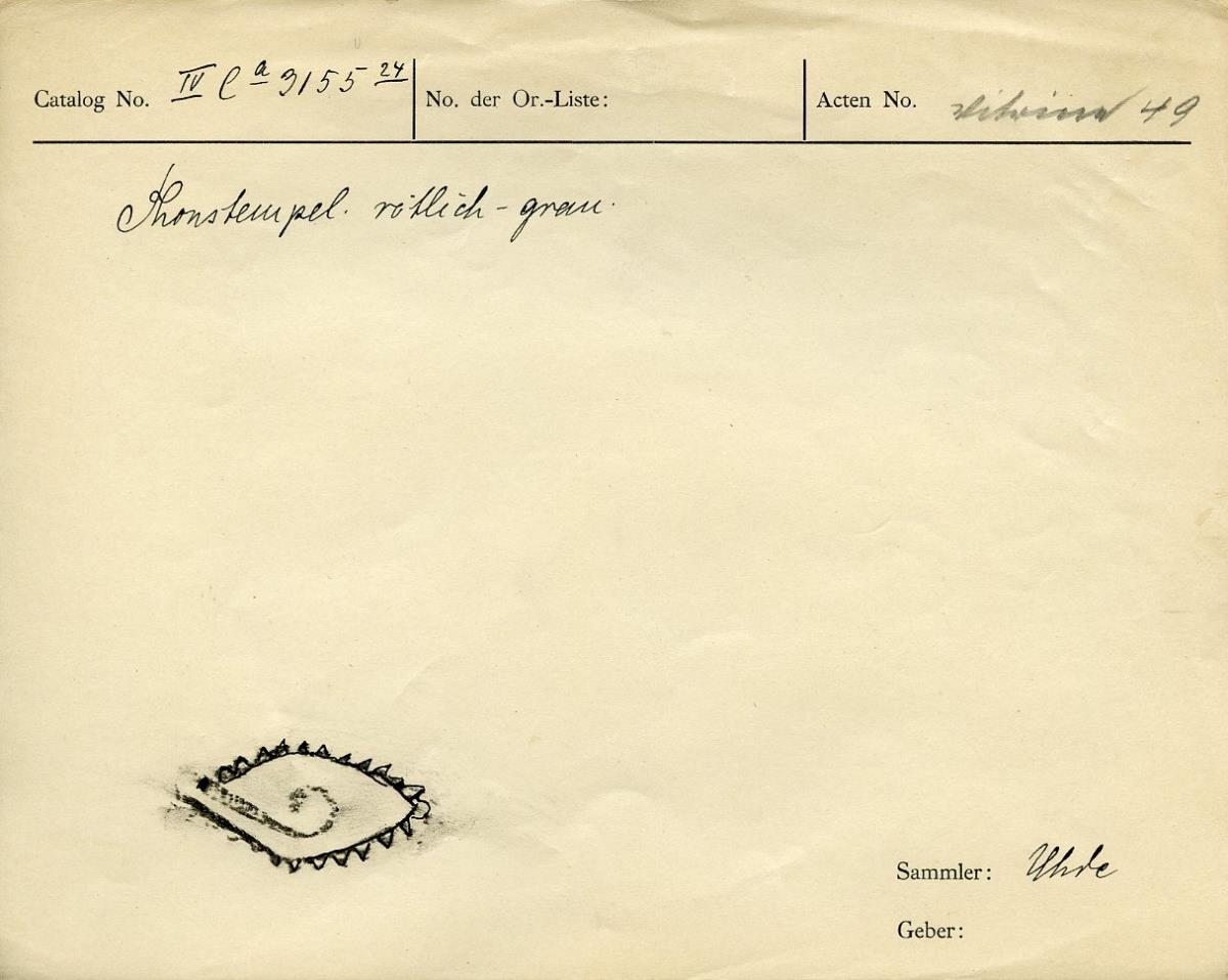 IV Ca 3155 (24)