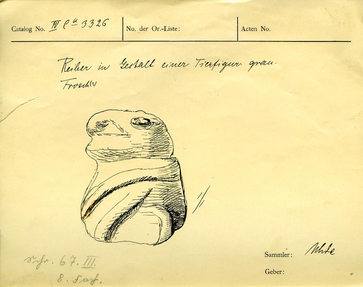 Frosch ?