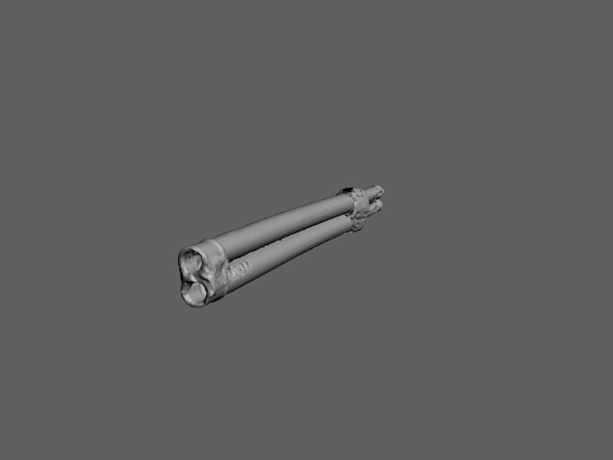 VII b 55 a,b