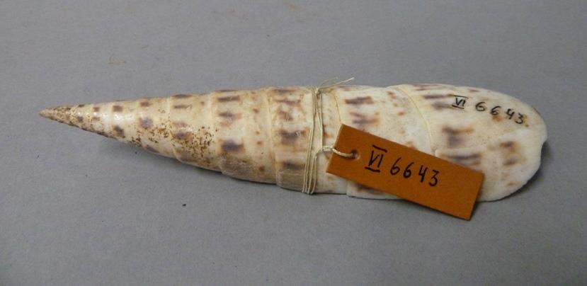 VI 6643