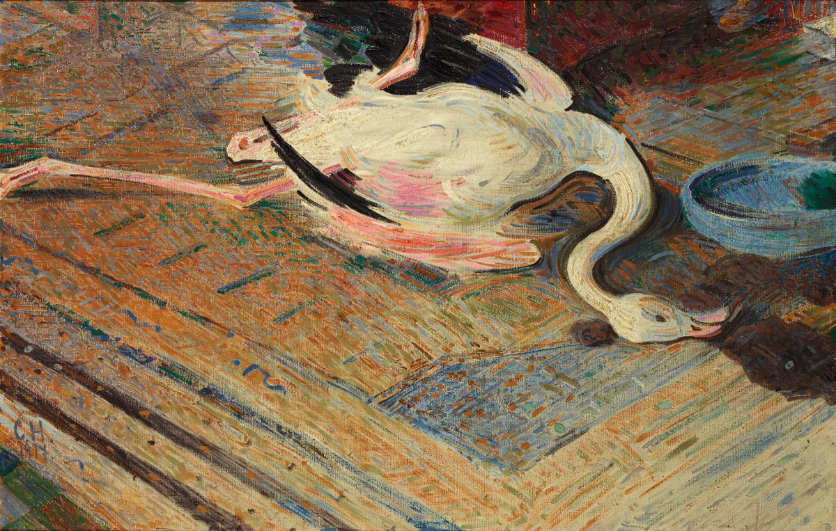 Flamingo