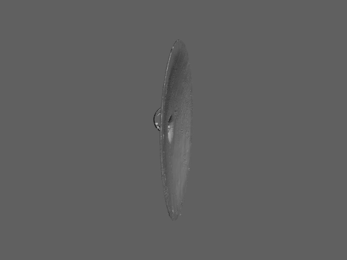 I C 16544 a,b