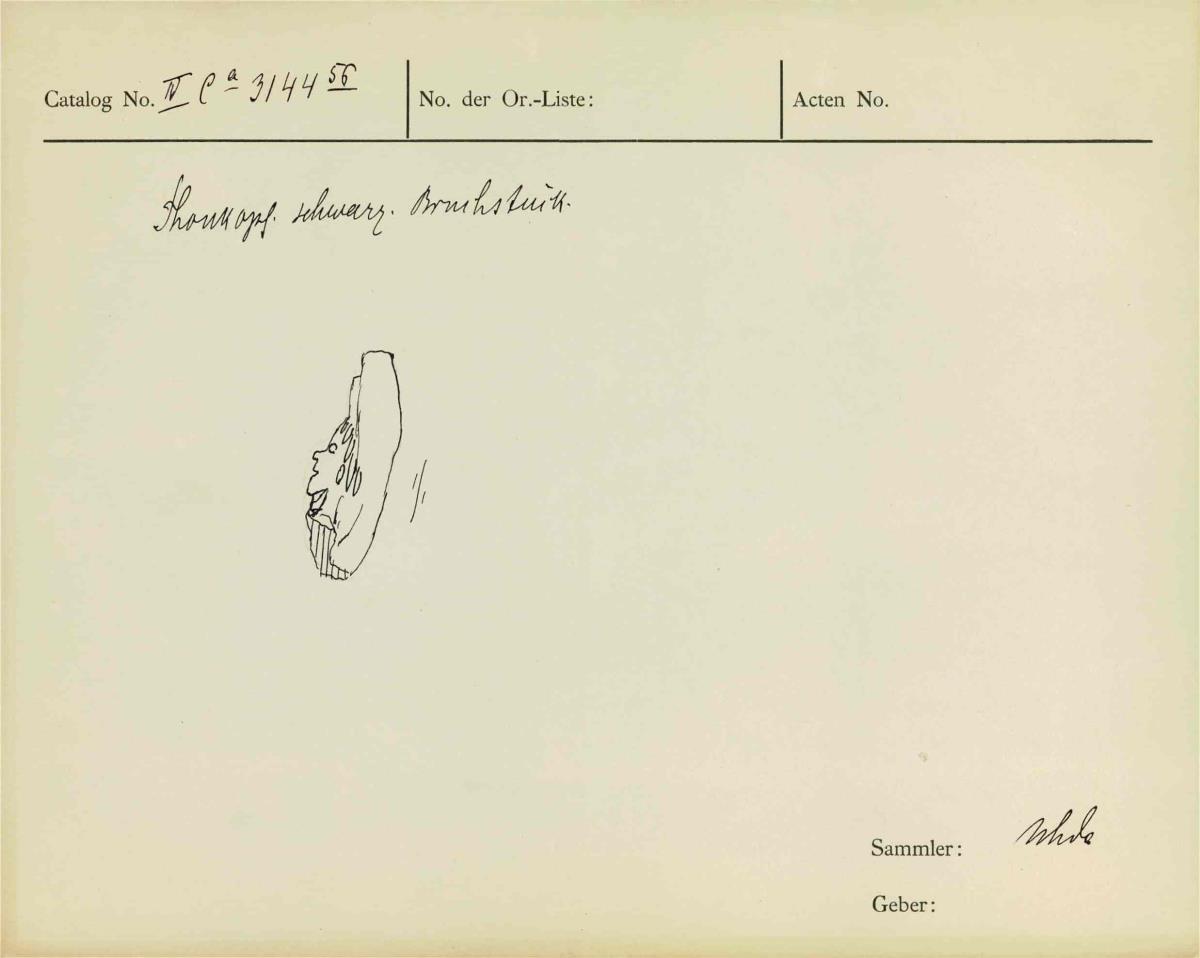 IV Ca 3144 (56)