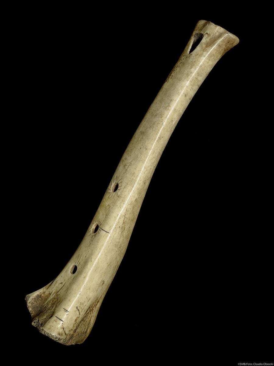 V B 6306