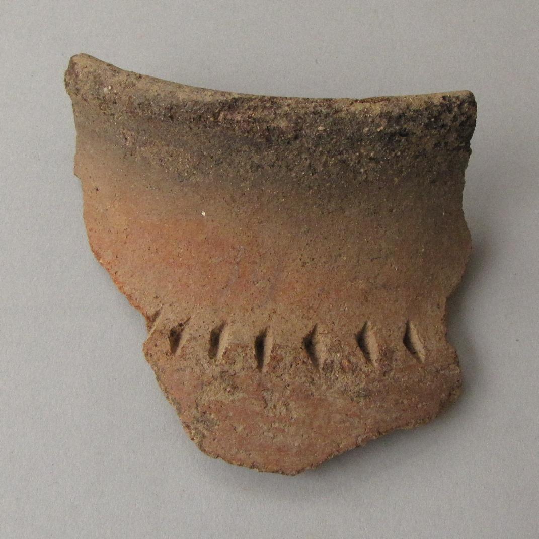 IV Ca 47556 b