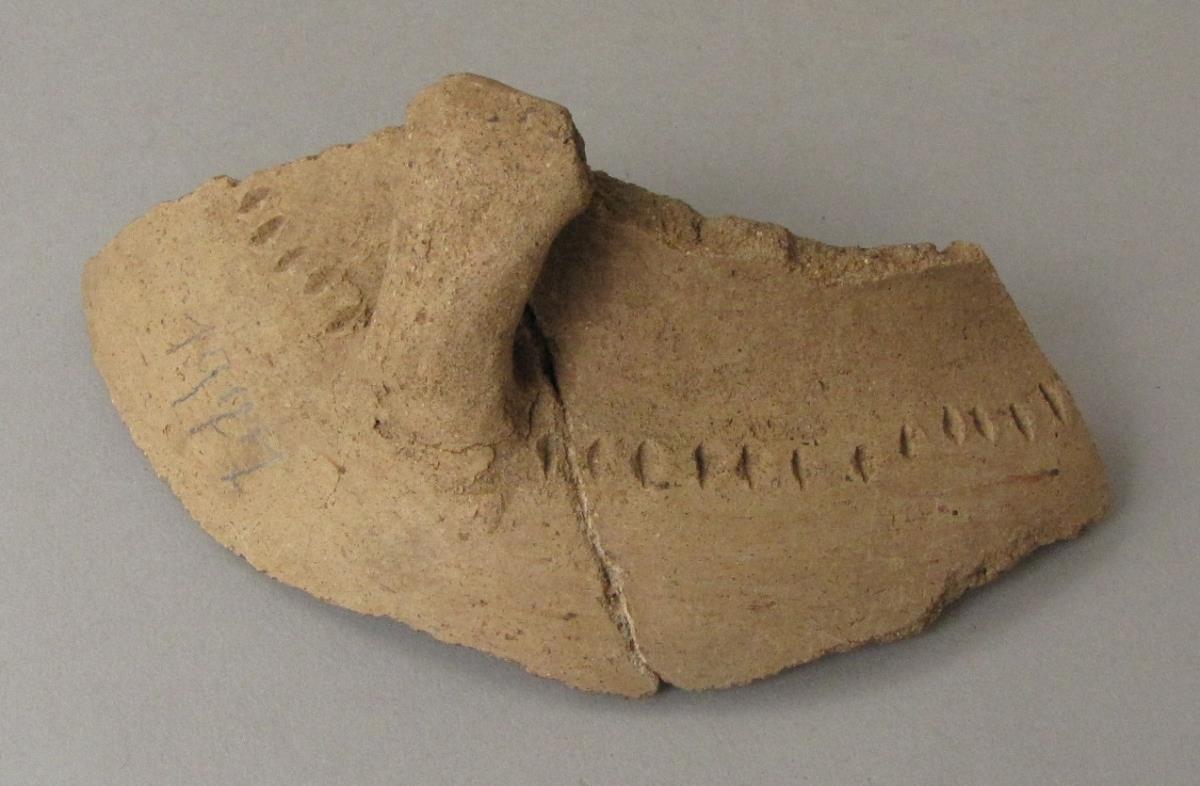 IV Ca 47556 d
