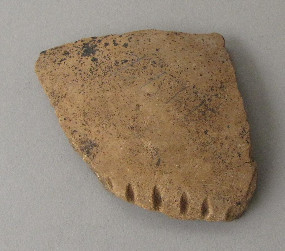 IV Ca 47556 l