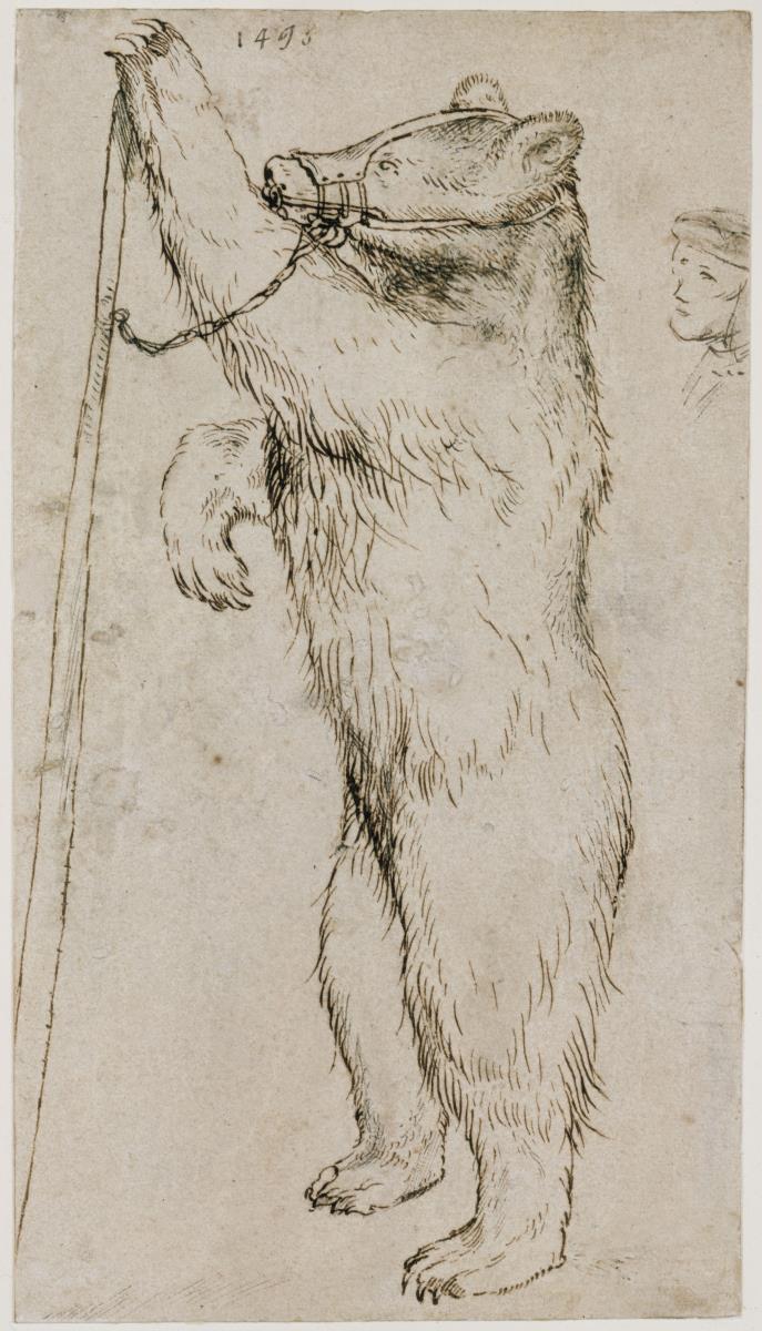 Tanzbär