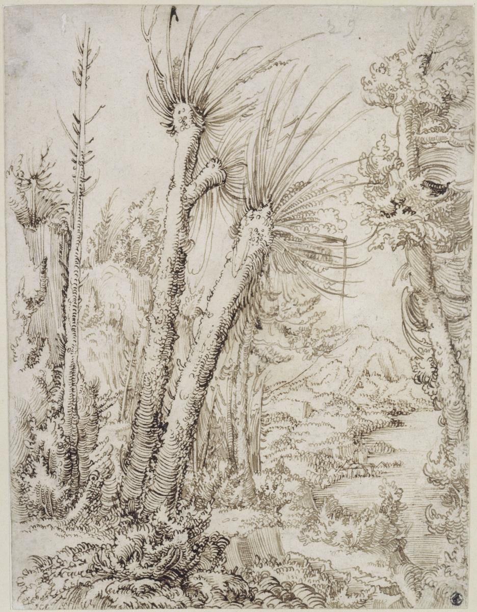 Landschaft mit Weiden