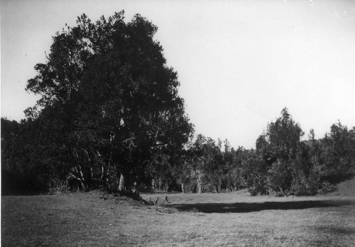 Landschaft in der Provinz Shume