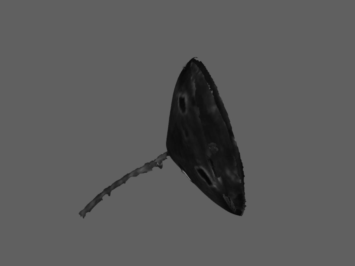 I C 3935 a,b