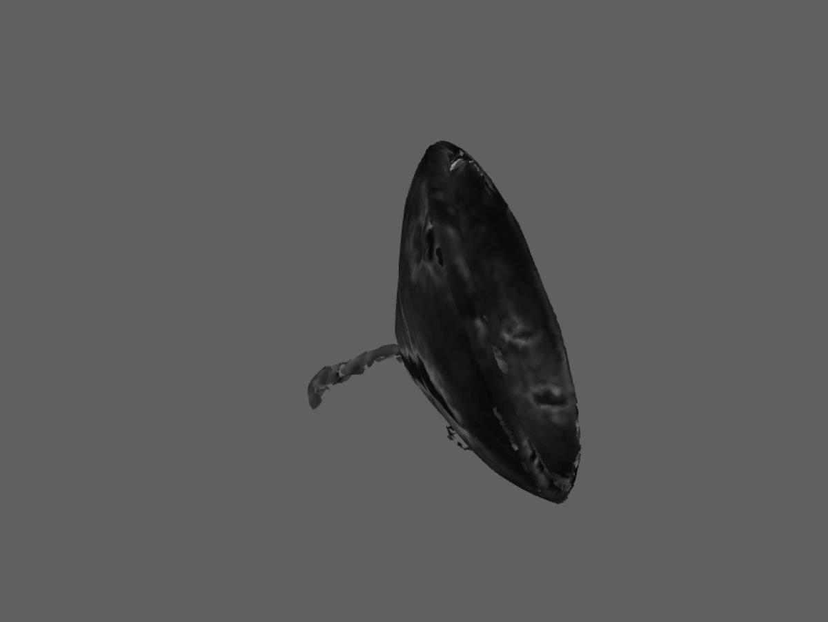 I C 3935 a,b
