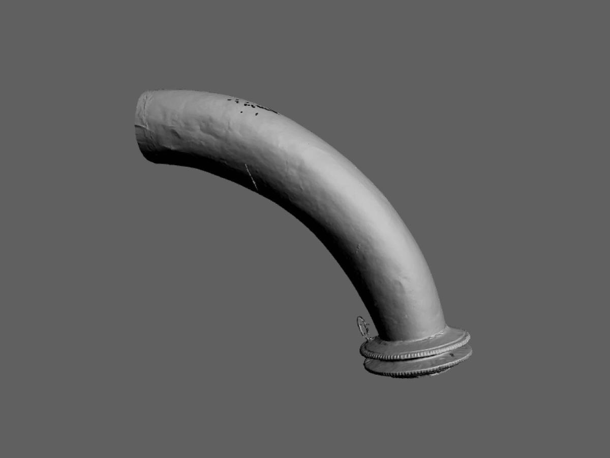 rana sringa