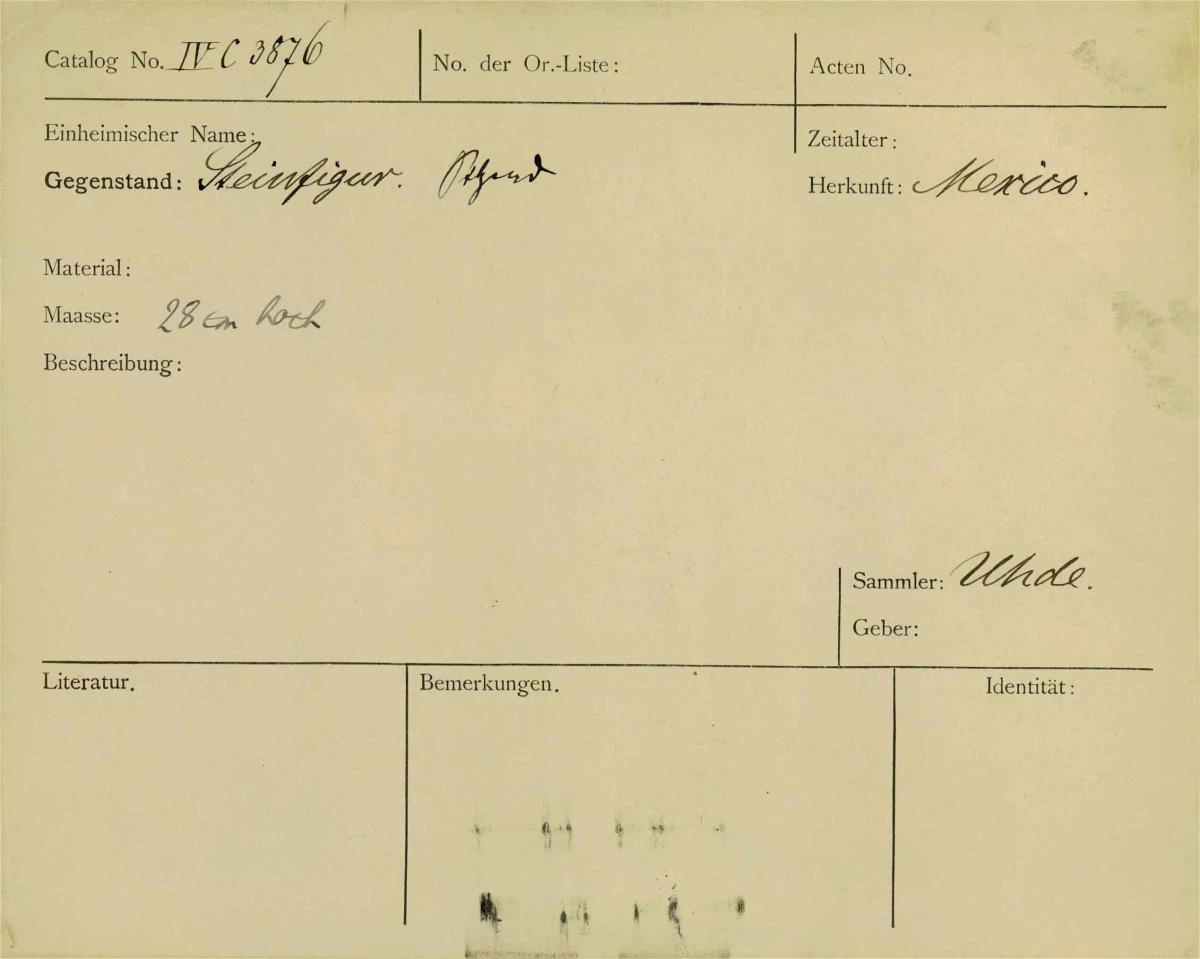 IV Ca 3876