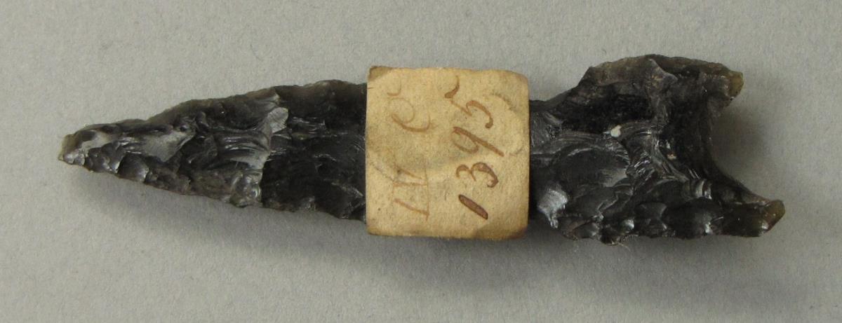 IV Ca 1395