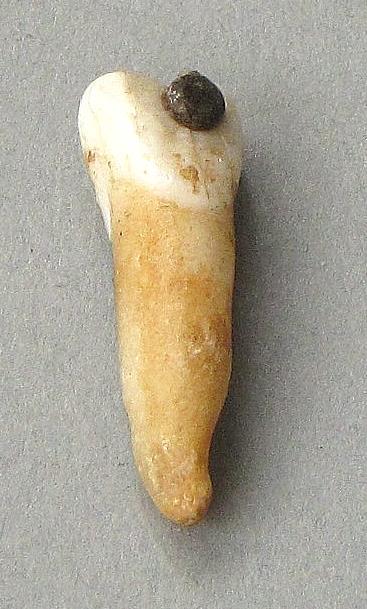 IV Ca 6766