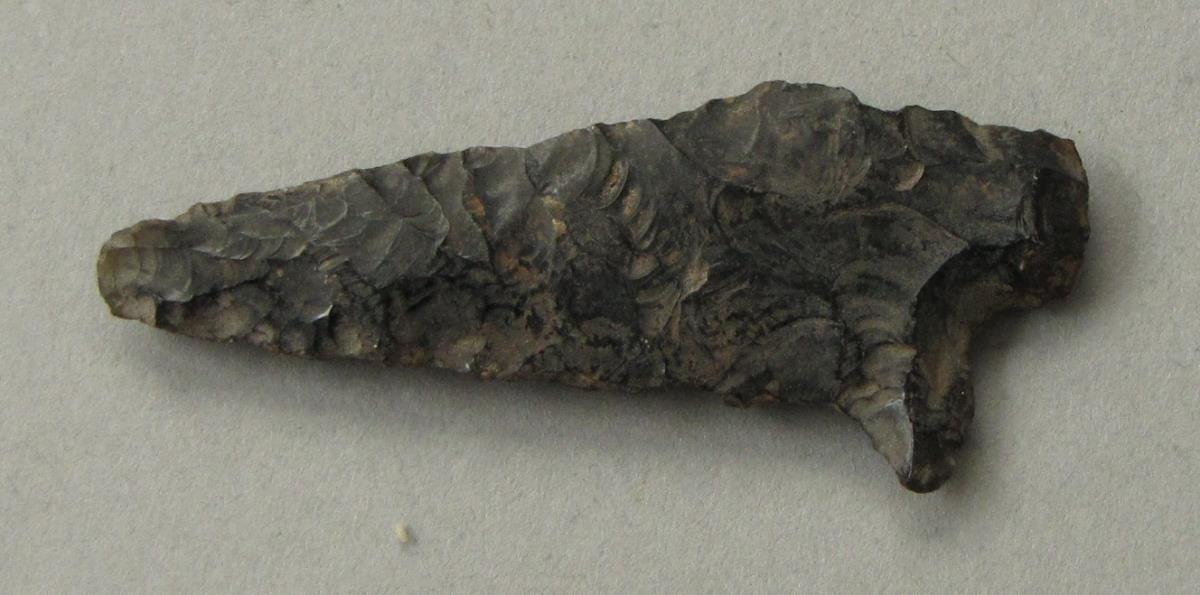 IV Ca 3937 b <2>