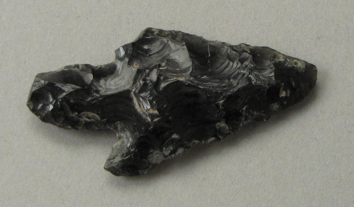 IV Ca 3943 b <2>