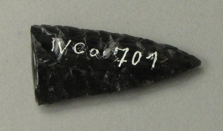 IV Ca 701