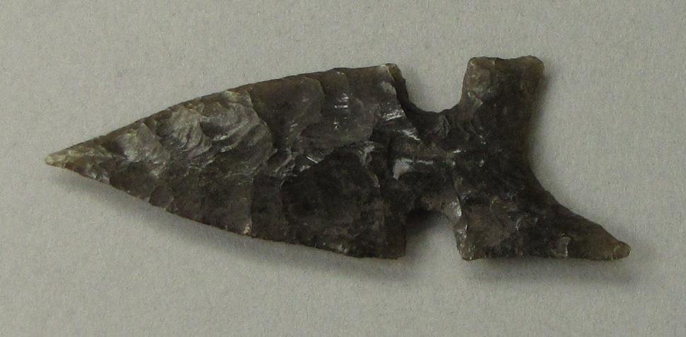 IV Ca 704