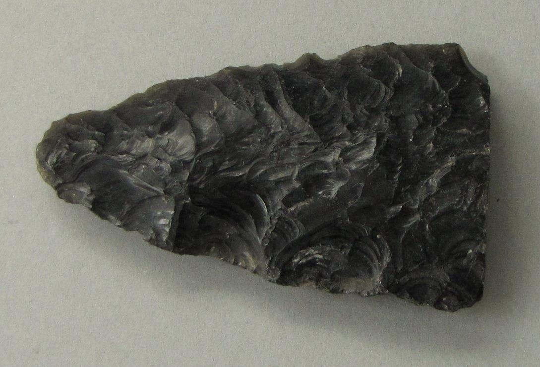 IV Ca 719