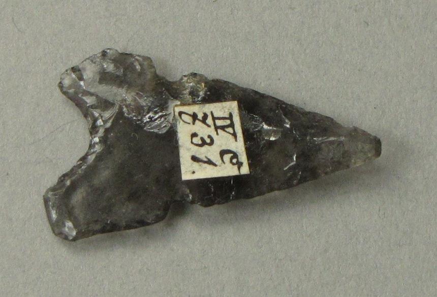 IV Ca 731