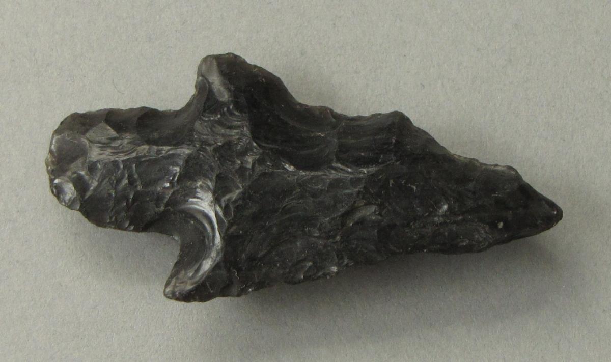IV Ca 733
