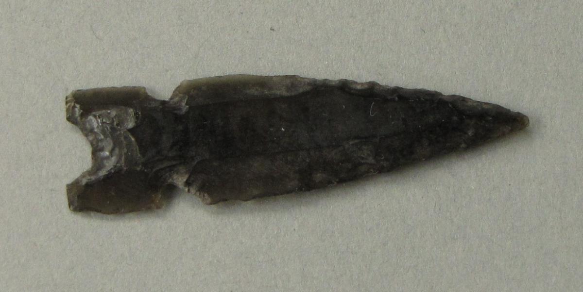 IV Ca 736