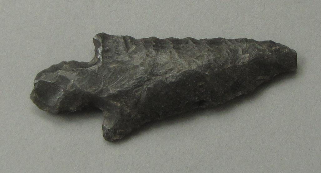 IV Ca 695