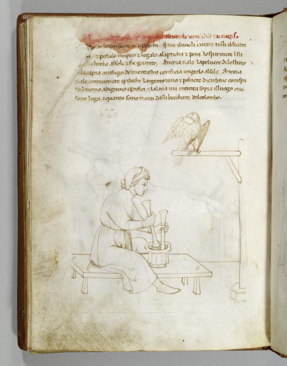 Traktat des Dottore Danchi. De arte venandi cum avibus. Unter der Stange des Falken sitzt ein Diener, der in einem Mörser Nahrung für den Falkebn bereitet