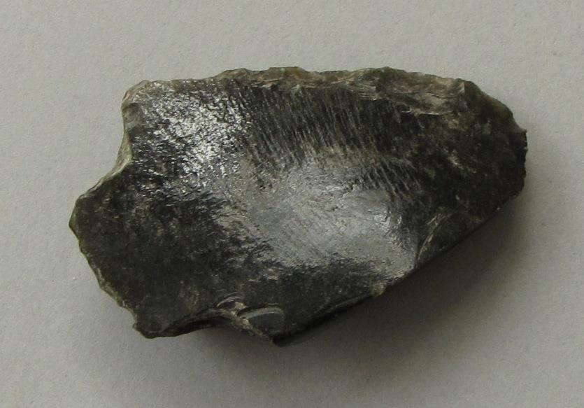 IV Ca 1384