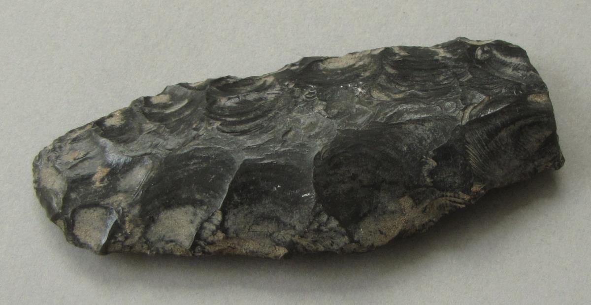 IV Ca 3254