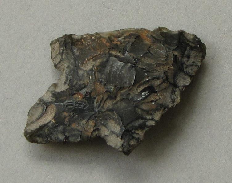 IV Ca 674