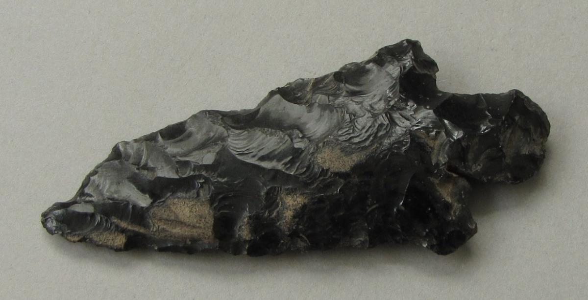 IV Ca 698