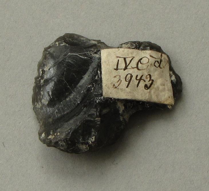 IV Ca 3943 d <2>