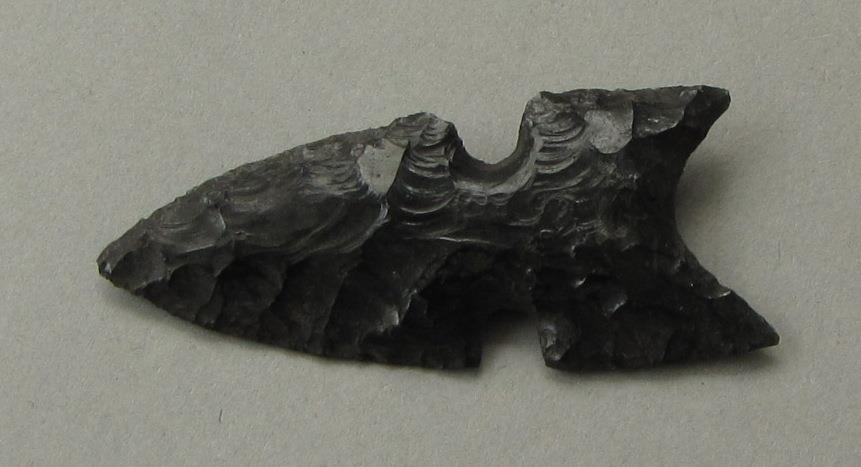 IV Ca 685