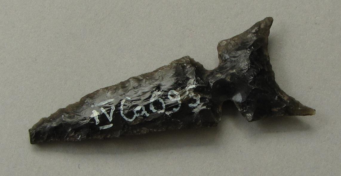 IV Ca 699 <2>