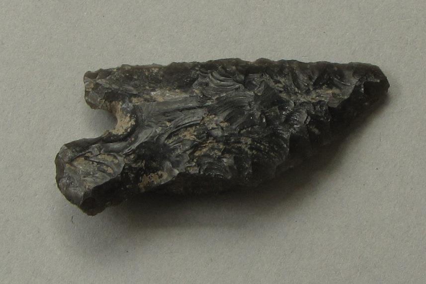 IV Ca 724