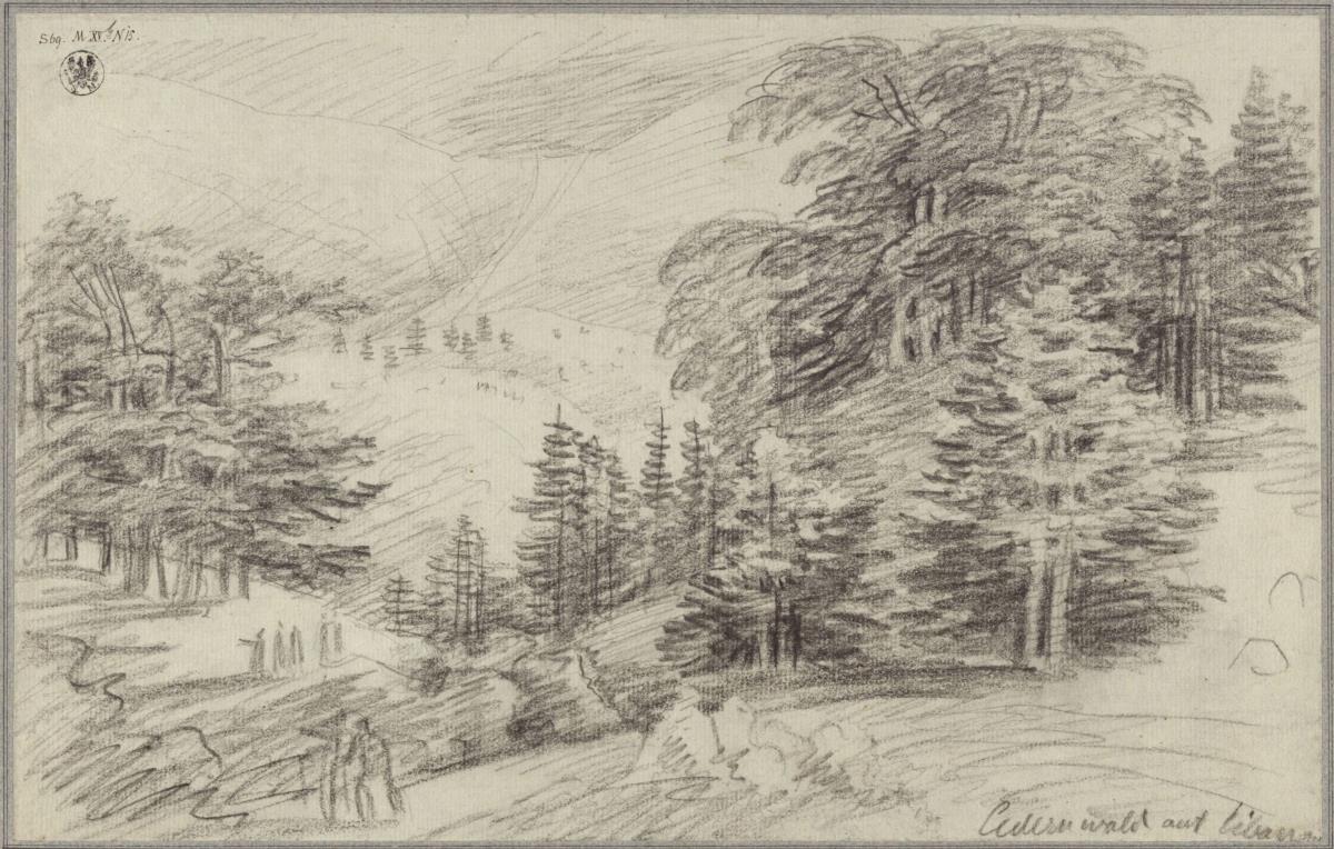 "Zedernwald auf Libanon"