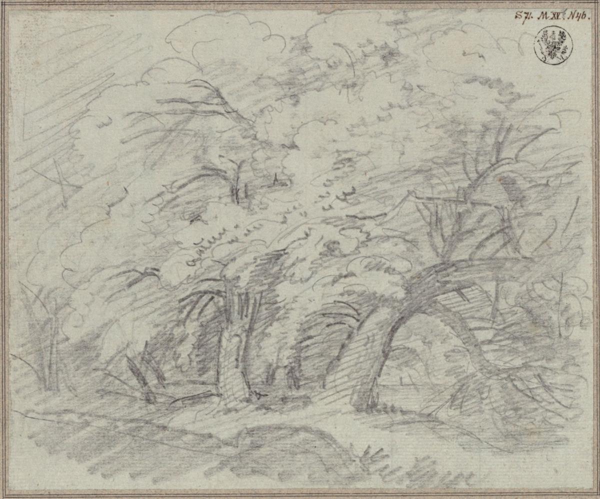 Undine. Oper von E. T. A. Hoffmann. Vorstudie zum Entwurf zur 7. Dekoration. Dichter Wald mit Brücke über einen Bach. Waldpartie